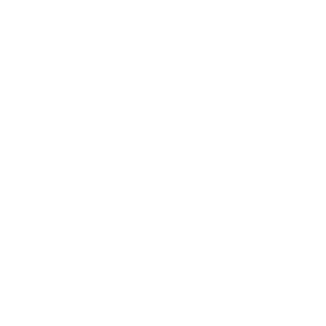n b logo (1)